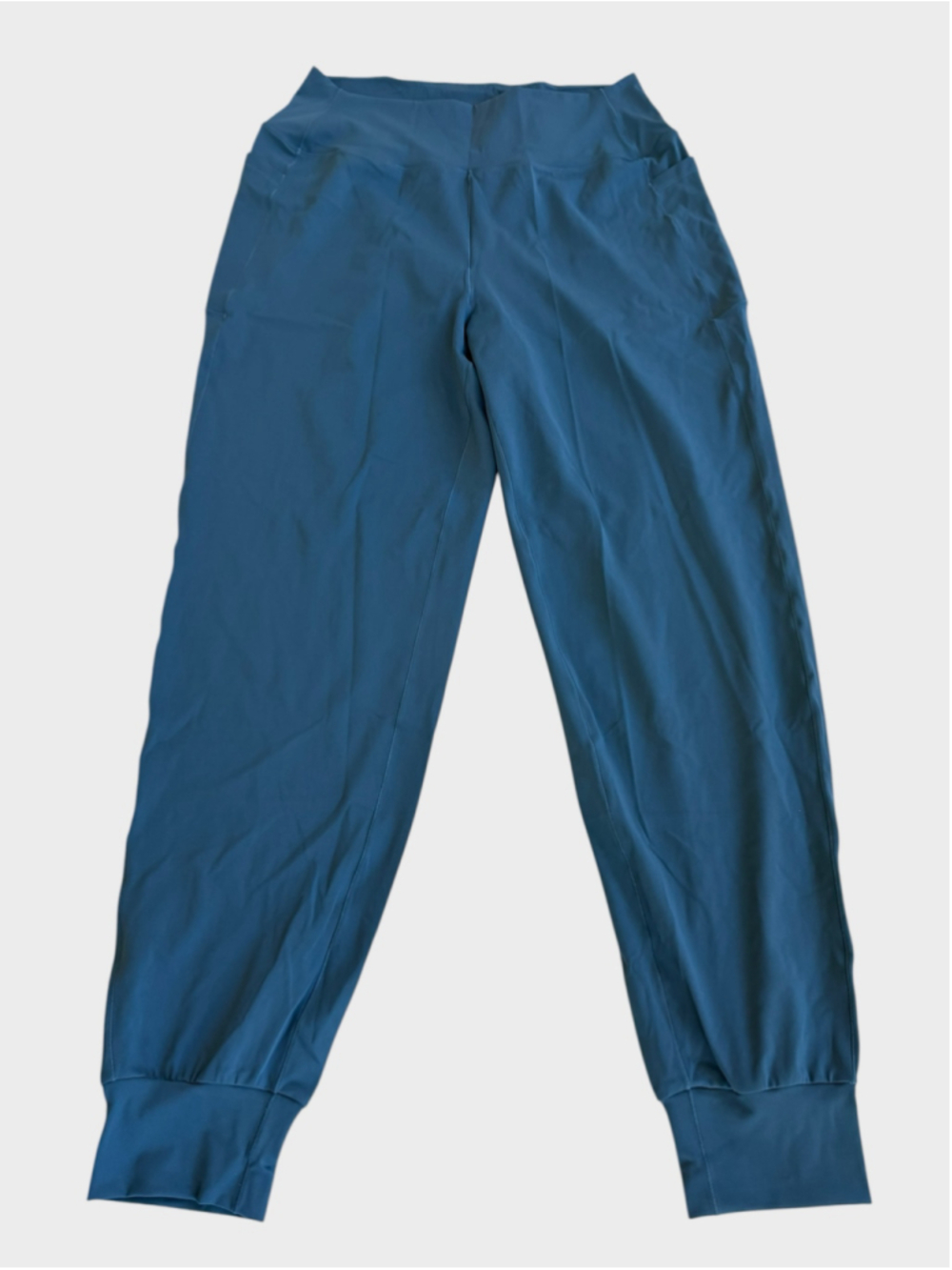 Size L (Regular) Halara Jogger Pants in Dragonfly